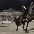 A rider competes on a horse with a high-stepping gait.