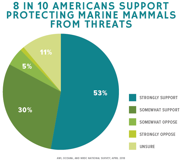 8 IN 10 AMERICANS SUPPORT PROTECTING MARINE MAMMALS FROM THREATS