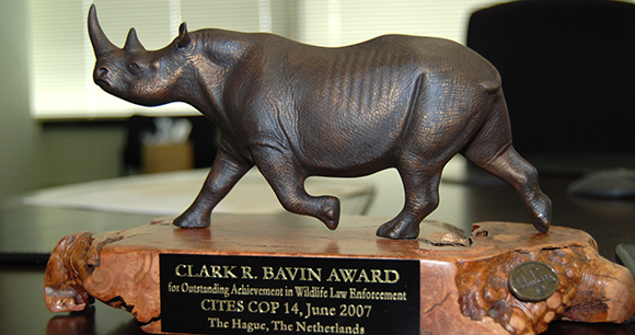 2007 Bavin Award