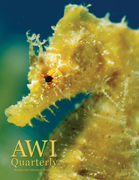 Summer 2013 AWI Quarterly Cover - Photo by Wild Wonders of Europe, Zankl, Minden
