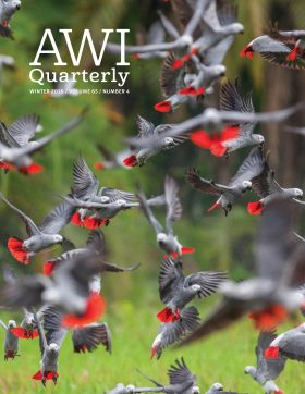 Winter 2016 AWI Quarterly Cover - Photo by Cyril Ruoso, Minden Pictures