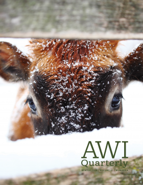 Winter 2018 AWI Quarterly Cover - Photo by Jim Schemel