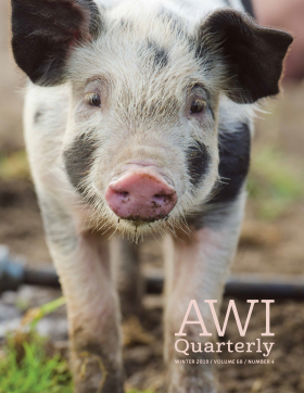Winter 2019 AWI Quarterly Cover - Photo by linephoto