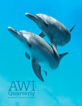 Summer 2021 AWI Quarterly Cover - Photo by Chase Dekker, Minden Pictures