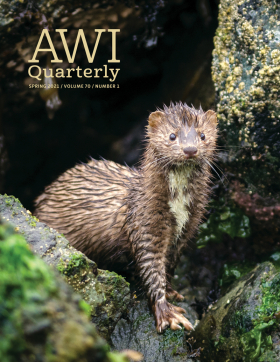 Spring 2021 AWI Quarterly Cover - Photo by ElementalImaging