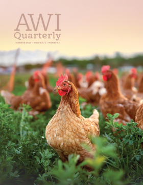 Summer 2022 AWI Quarterly Cover - Photo by Jacqueline Anders