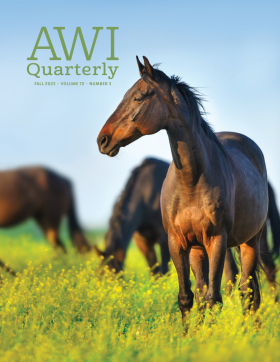 Fall 2023 AWI Quarterly Cover - Photo by kwadrat70/Adobe Stock