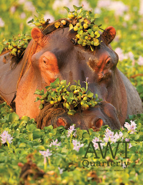 Fall 2022 AWI Quarterly Cover - Photo by David Fettes
