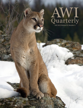 Fall 2012 AWI Quarterly Cover - Photo by Matthias Breiter, Minden Pictures