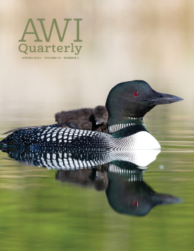 Spring 2023 AWI Quarterly Cover - Photo by Donald M. Jones/Minden Pictures