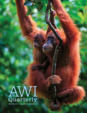 Winter 2017 AWI Quarterly Cover - Photo by Cyril Ruoso, Minden Pictures
