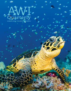 Summer 2018 AWI Quarterly Cover - Photo by Pete Oxford, Minden Pictures