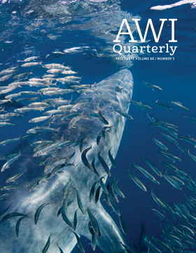 Fall 2017 AWI Quarterly Cover - Photo by Doug Perrine, Minden Pictures