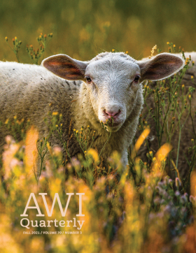 Fall 2021 AWI Quarterly Cover - Photo by Matthias Kruck/EyeEm