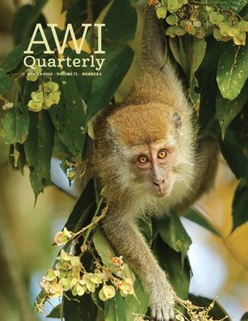 Winter 2022 AWI Quarterly Cover - Photo by Jamie Lamb