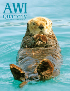 Spring 2009 AWI Quarterly Cover - Photo by Michael Gore/FLPA, Minden Pictures