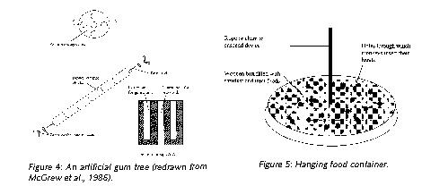 Figure 4: An artificial gum tree; Figure 5: Hanging food container