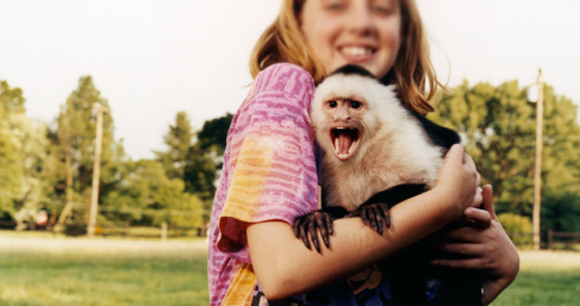 Child holding a primate.