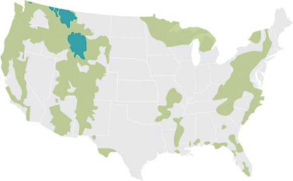 black and grizzly bear ranges in the US