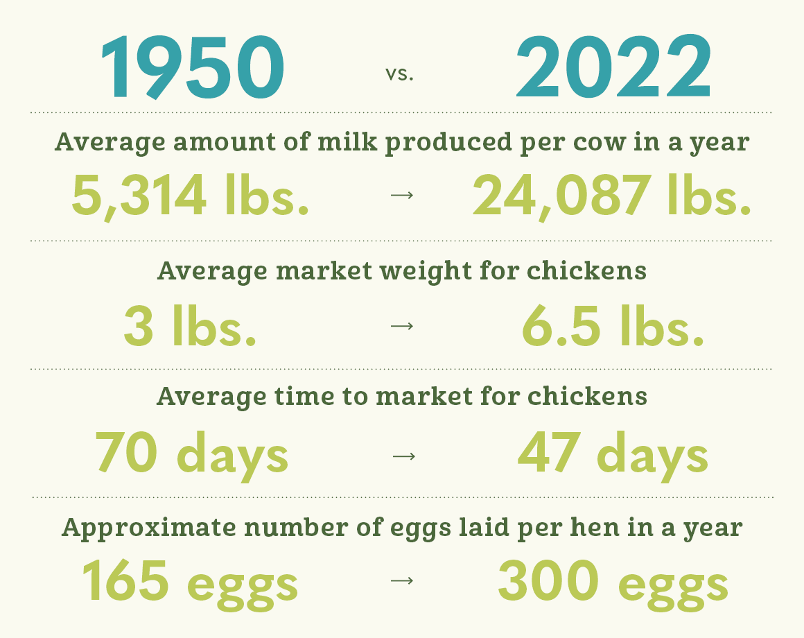 Farm Breeding Statistics