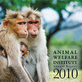 AWI 2010 Annual Report