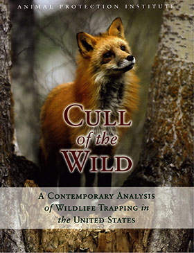 Cover of Cull of the Wild
