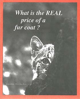 Cover of What is the Real Price of a Fur Coat?