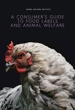 A Consumer’s Guide to Food Labels and Animal Welfare