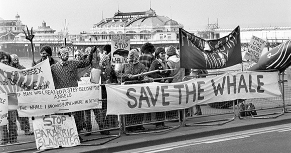 1982 International Whaling Commission meeting in Brighton, England