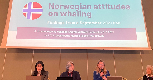 IWC Day 2 Whaling Session