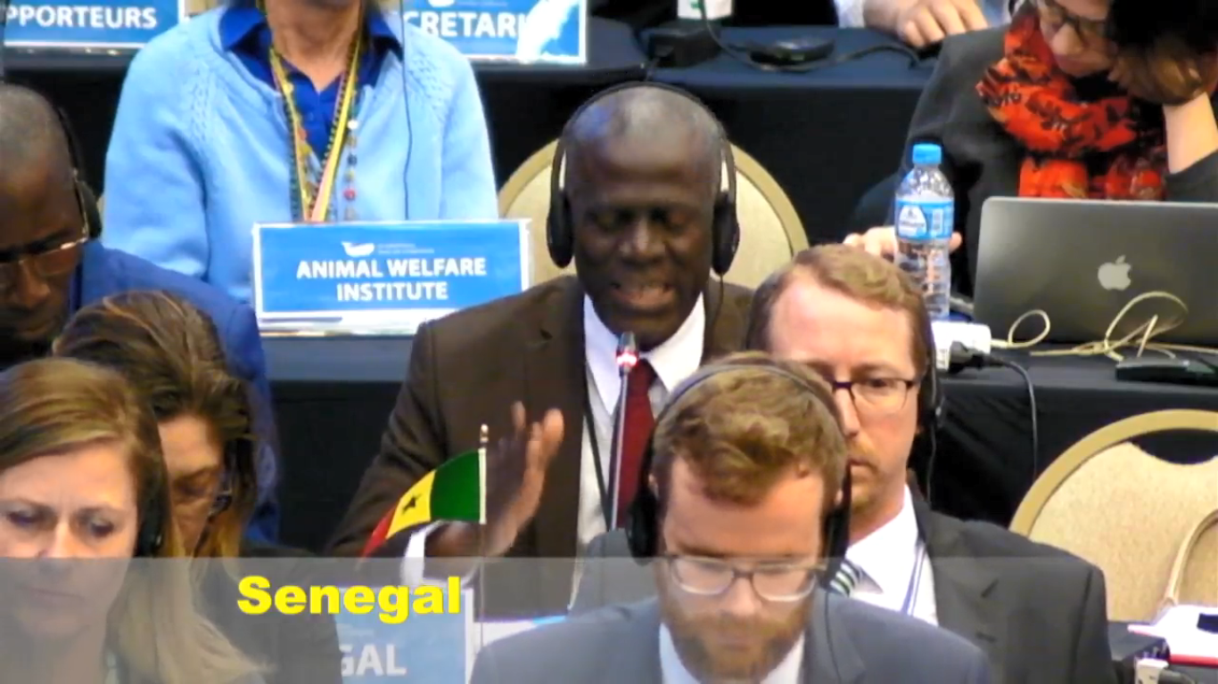 Senegal Speaking (AWI seen in background)