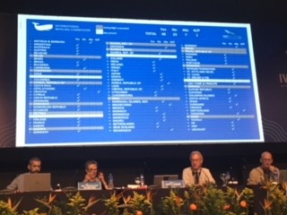 Voting on the resolution on the role of cetaceans in ecosystem functioning