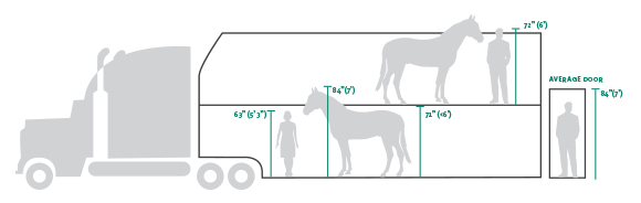 Horse Trailer Proportions