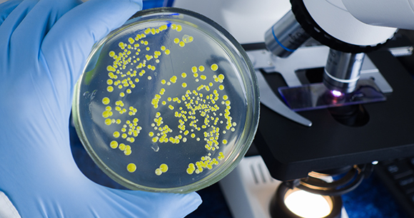 In vitro