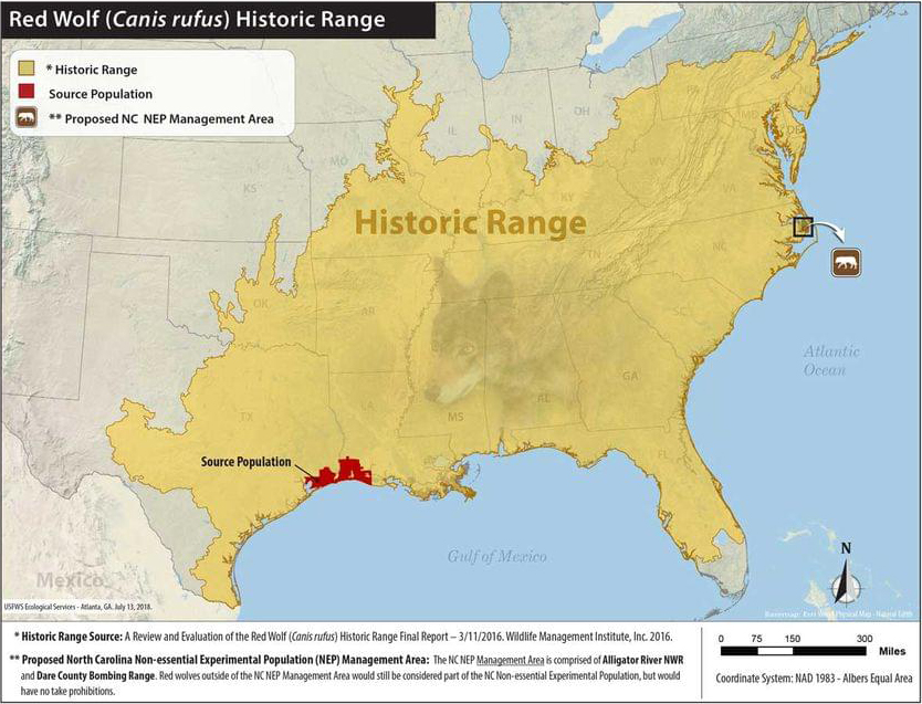 Red wolf historical range with non-essential experimental population management area. Map by Jose Barrios, USFWS.