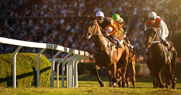 Two horses neck and neck in a race. Photo by Vladimir Hodac Two horses neck and neck in a race. Photo by Vladimir Hodac