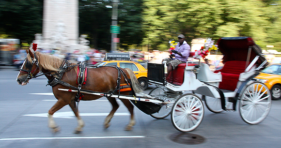 Urban horse carriages - Photo by Juhauitto Urban horse carriages - Photo by Juhauitto