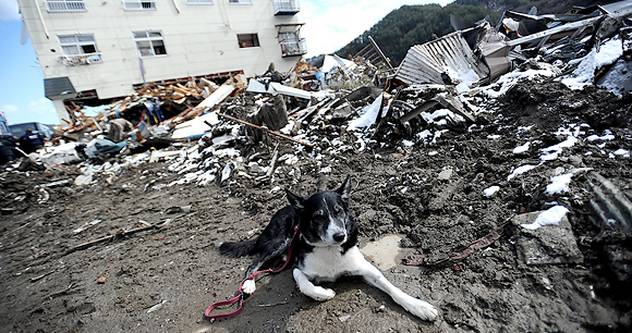 Disaster preparedness - Photo by AWI Disaster preparedness - Photo by AWI
