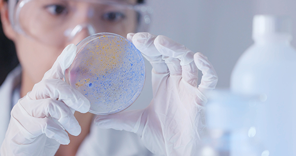 photo by leungchopan Scientist checking petri dish