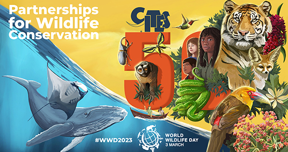 Image by Xavi Reñé World Wildlife Day 2023 official design by Xavi Reñé