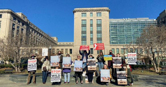 Advocates rally outside the Department of the Interior holding posters.