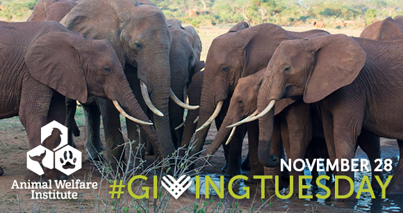 GivingTuesday - Photo by Bill Clark