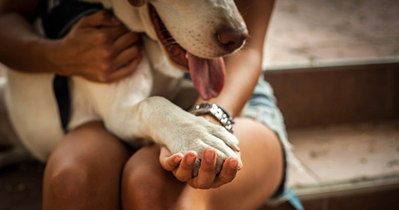 A woman holds a dog in her lap, the dog's paw in her hand.