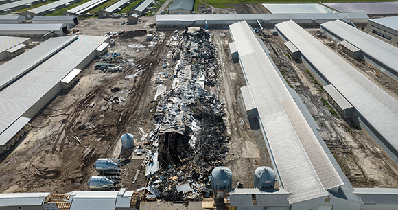 Photo by We Animals Media An aerial overview of the charred remains of a chicken shed destroyed by a fire. All of the nearly 120,000 hens housed inside perished.