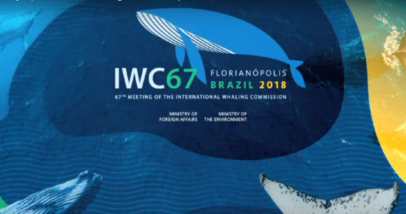 IWC 67 Logo IWC 67 Logo