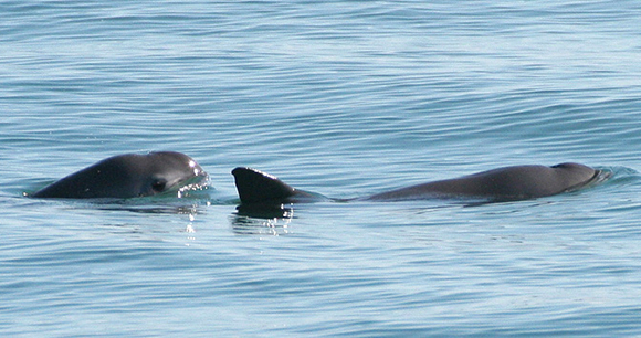 photo by NOAA photo by NOAA