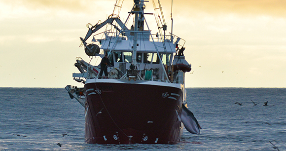 A Norwegian whaling vessel out at sea.