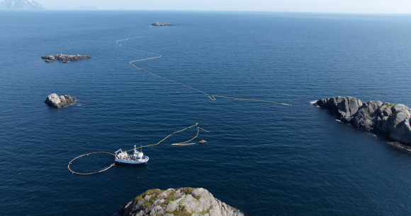 Drone footage of the 2022 test site provided to NOAH, AWI, and WDC.