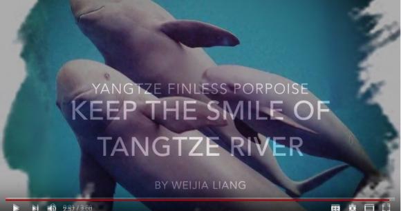 Protect the Smile of the Yangtze River Protect the Smile of the Yangtze River