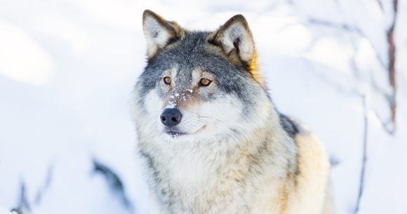 photo by Kjetil Kolbjornsrud